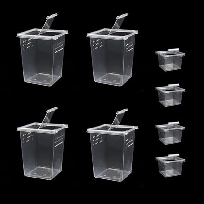 Small Reptile breeding Box Spider Terrarium freeding Box for arboreal Tarantula Scorpion Sling