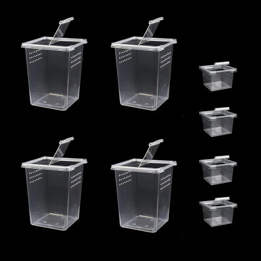 Small Reptile breeding Box Spider Terrarium freeding Box for arboreal Tarantula Scorpion Sling