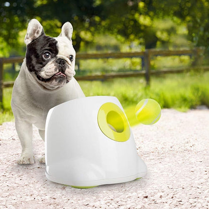 ALL FOR PAWS Dog Tennis Balls for Dogs, Great for Mini Ball Launcher, 6 Pack 2 Inch Tennis Balls