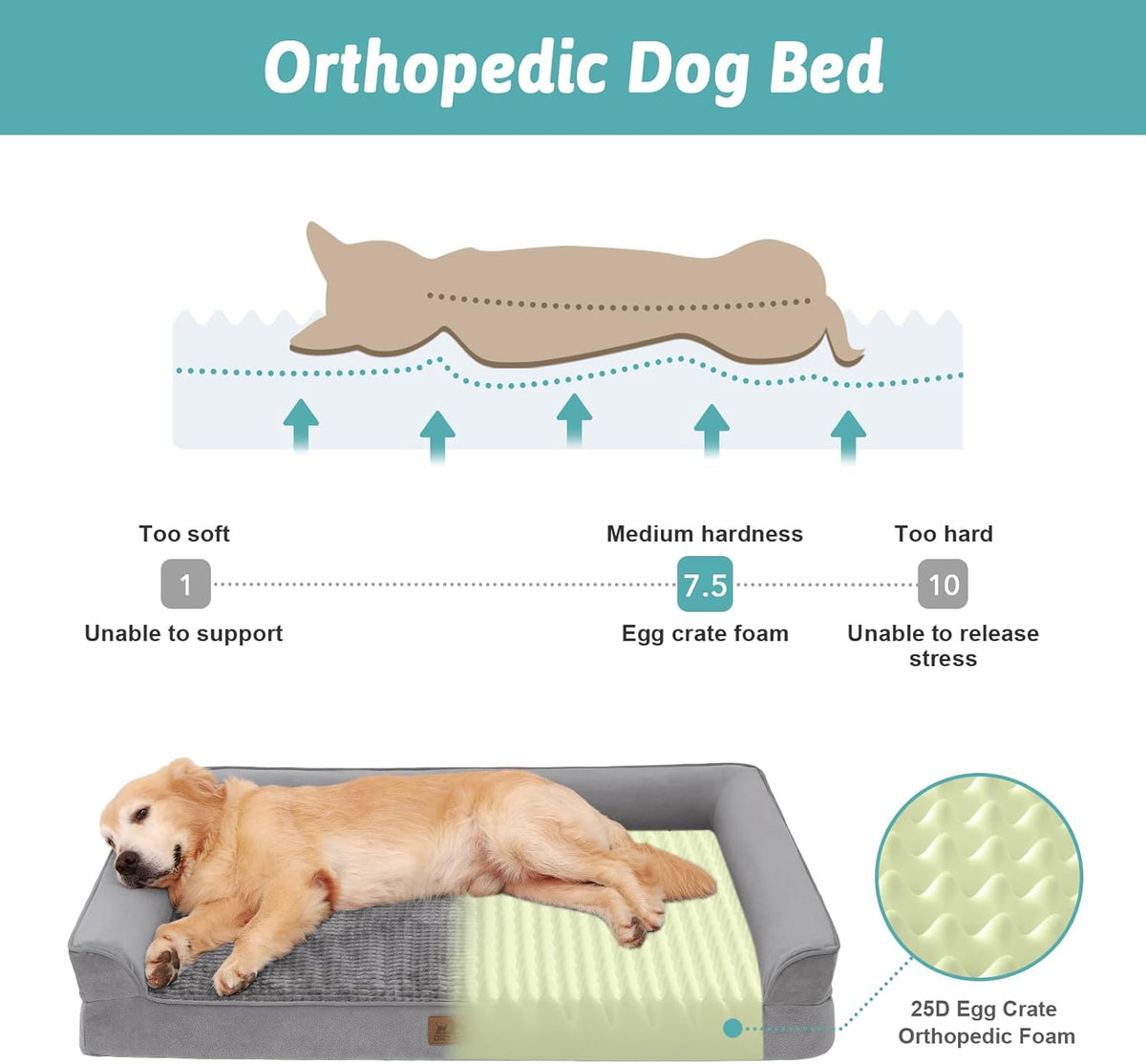Orthopedic Dog Bed for Large Dog, XL Pet Couch for Extra Large Dog, Big Supportive Foam Bolster