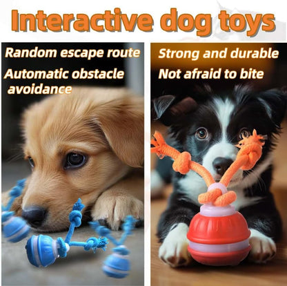 Interactive Dog Toys, Squeaky Dog Toys, Active Rolling Ball for Puppy and Medium Dogs, Squeaky, USB