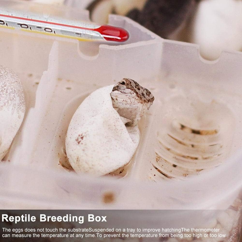 Zerodis Reptile Breeding Box, Plastic Incubator with Transparent Lid for Hatching Gecko, Lizards