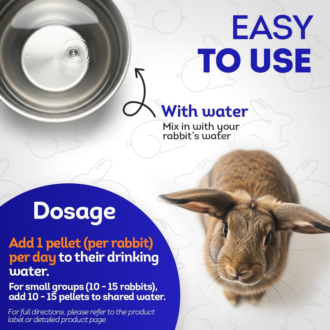HA4E - Rabbit E. Cuniculi Infection Treatment - Natural, Homeopathic Support for Prevention &