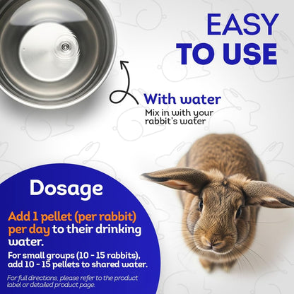 HA4E - Rabbit E. Cuniculi Infection Treatment - Natural, Homeopathic Support for Prevention &