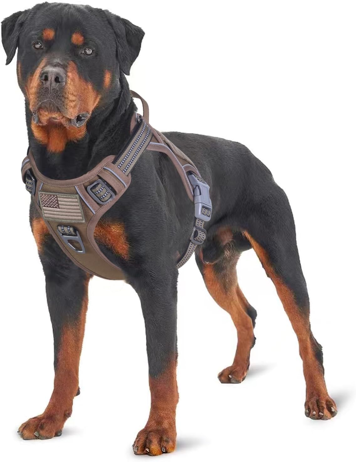 BUMBIN Tactical Dog Harness for Medium Dogs No Pull, Famous TIK Tok No Pull Dog Harness, Fit Smart