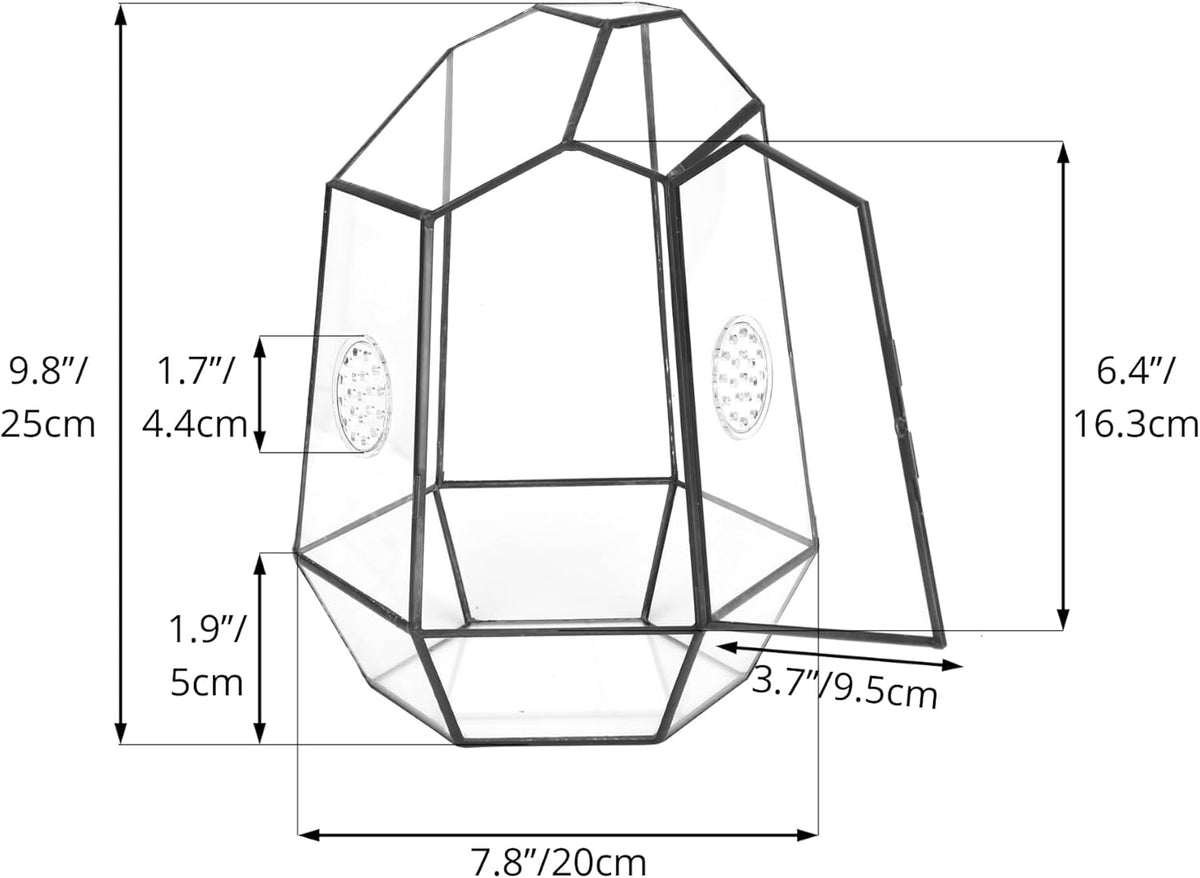 NCYP Closed Geometric Glass Enclosure with Front Opening Door & 2 Vent Holes for Insects