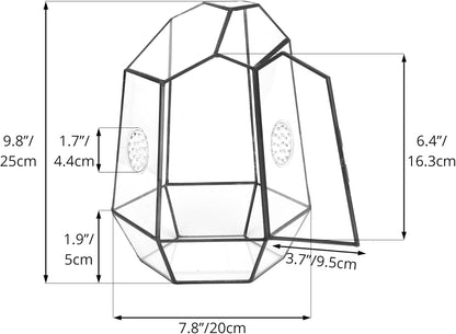 NCYP Closed Geometric Glass Enclosure with Front Opening Door & 2 Vent Holes for Insects