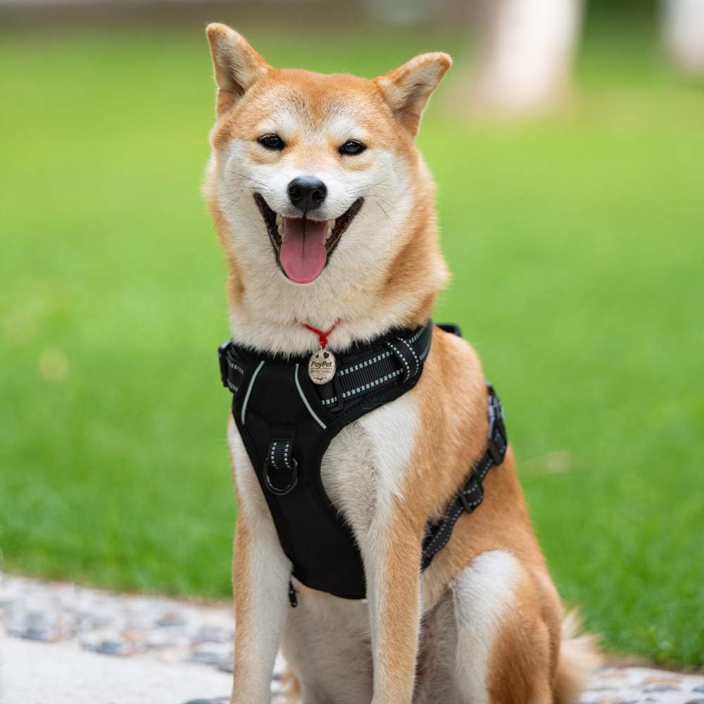 PoyPet No Pull Dog Harness, Reflective Comfortable Vest Harness with Front & Back 2 Leash