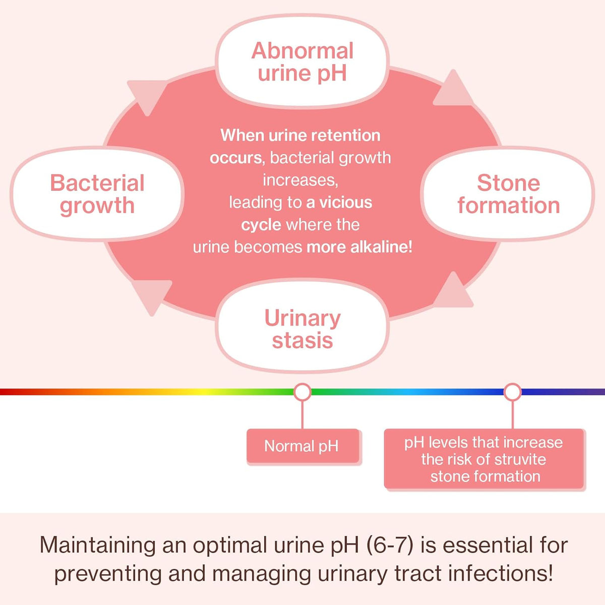 Dr.by UT Care Cat UTI Kidney Support Urinary Supplement Cranberry Treatment for Cats Renal Health