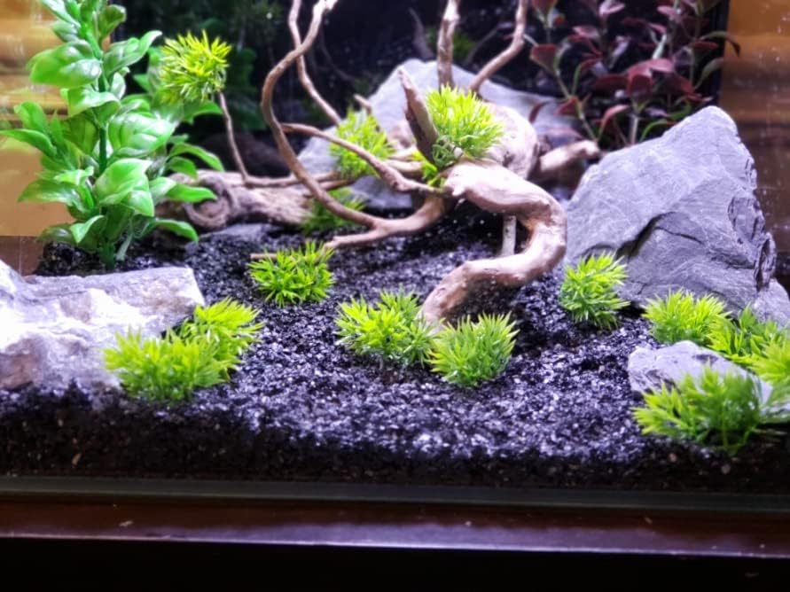 Natural Slate Stone 5 to 7 Inches - USA Sourced and Packaged for Aquascaping Aquariums, Terrariums
