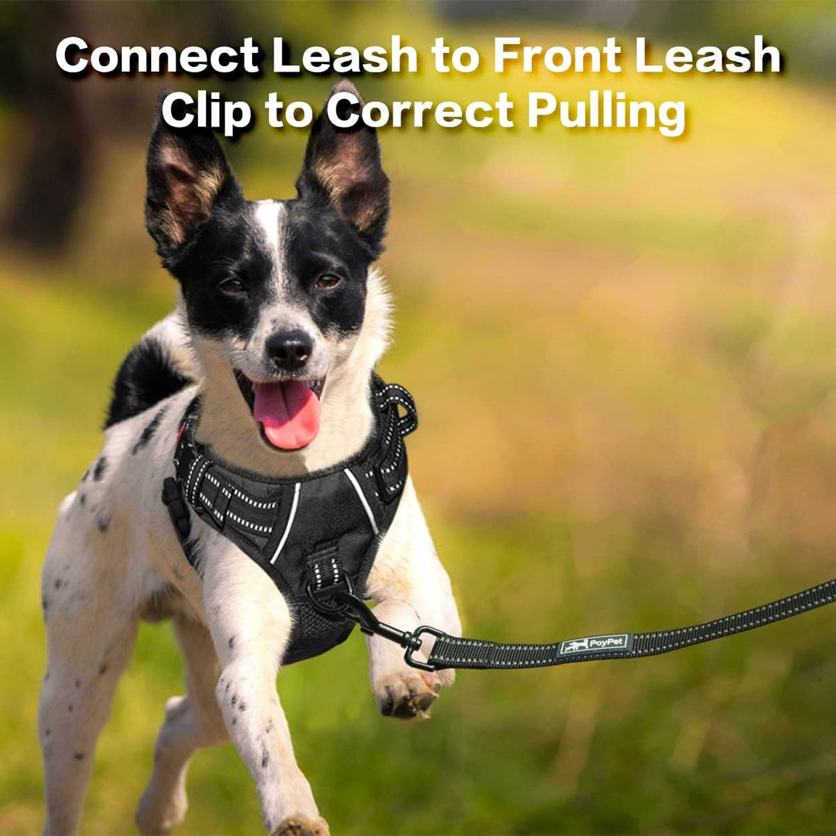 PoyPet No Pull Dog Harness, No Choke Front Clip Reflective Dog Vest with Soft Padded Vertical