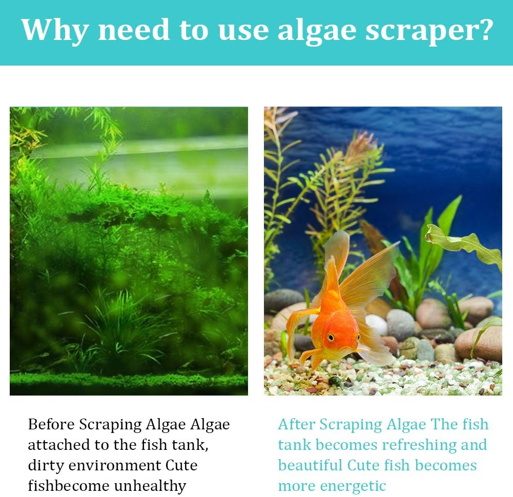 ZRDR Stainless Steel Algae Scraper Aquarium Cleaning Tool for Glass Aquariums, Including Algae