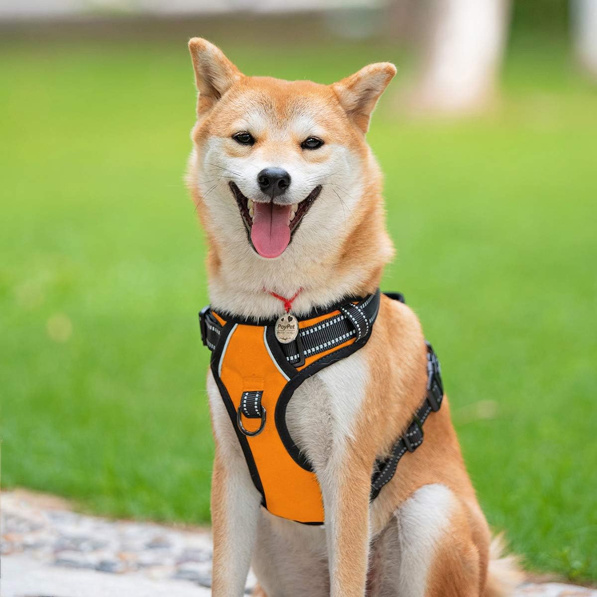 PoyPet No Pull Dog Harness, Reflective Comfortable Vest Harness with Front & Back 2 Leash