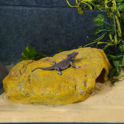 Reptile Hide Snake Cave Large Simulation Stone Resin Hideout Leopard Gecko Lizard Tank Accessories