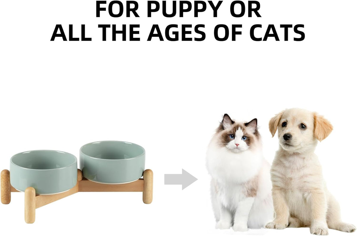Ceramic 5.1inch Raised Double Bowls Set with Wooden Stand, Elevated Food & Water Bowls for Small