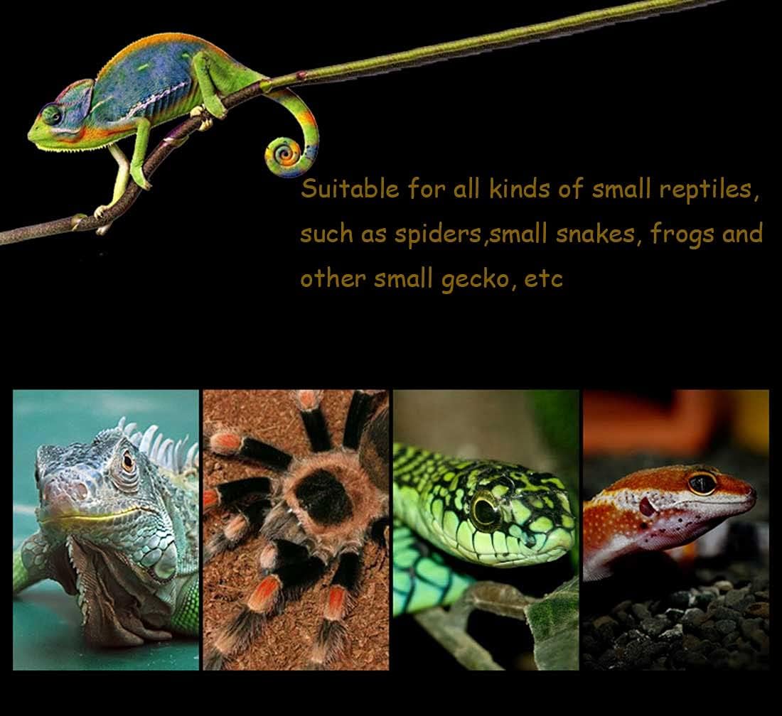 kathson 2PCS Reptile Feeding Box Portable Small Snake Terrarium Habitat Mini Pet Breeding Cage