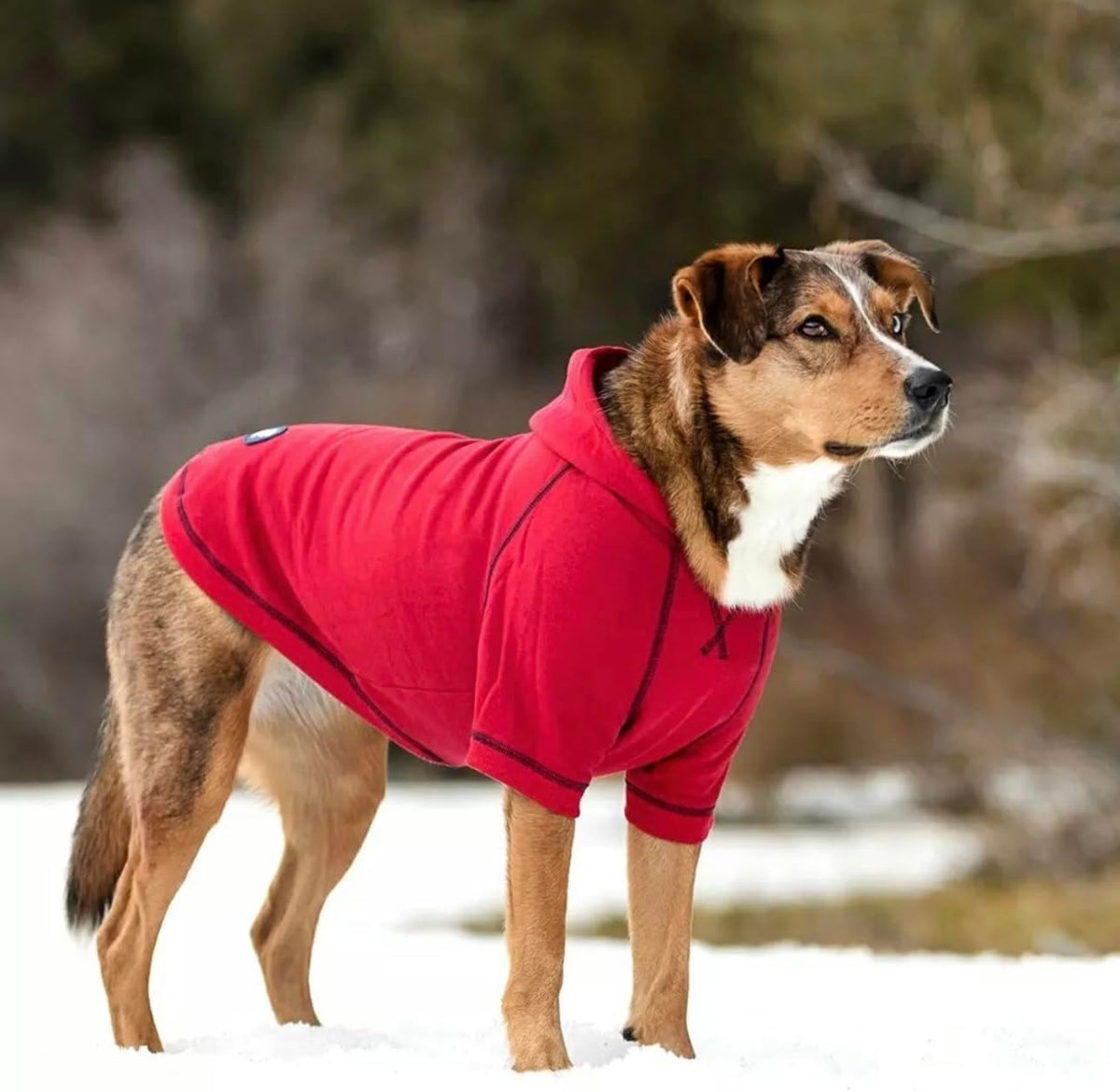 Blueberry Pet Essentials Hoodie – 12″ Soft French Terry Sweatshirt with Hood, Red, Award‑Winning