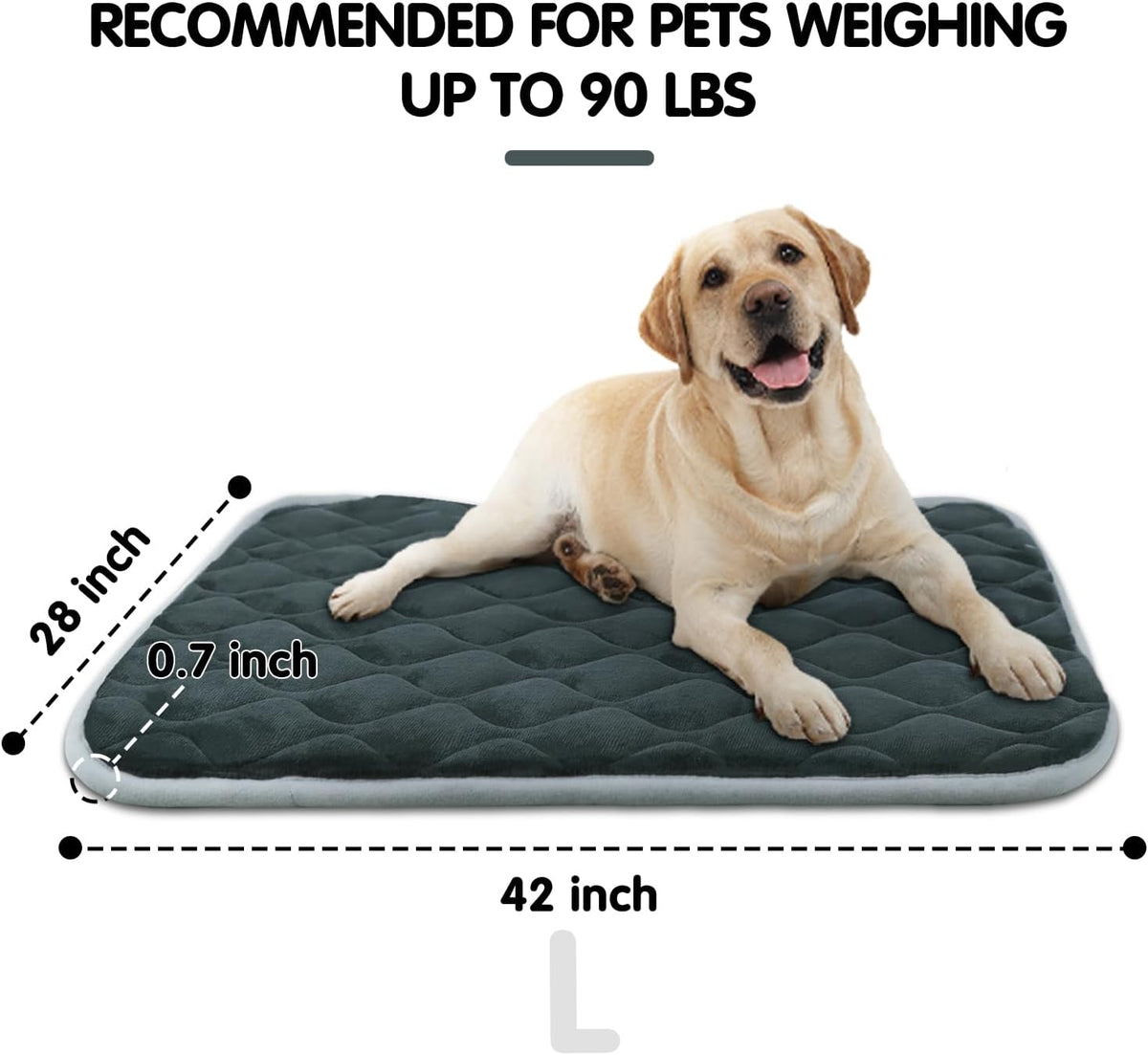 furrybaby Dog Bed Mat Flat Crate Mat with Anti-Slip Bottom Machine Washable Pet Kennel Pad for Dog