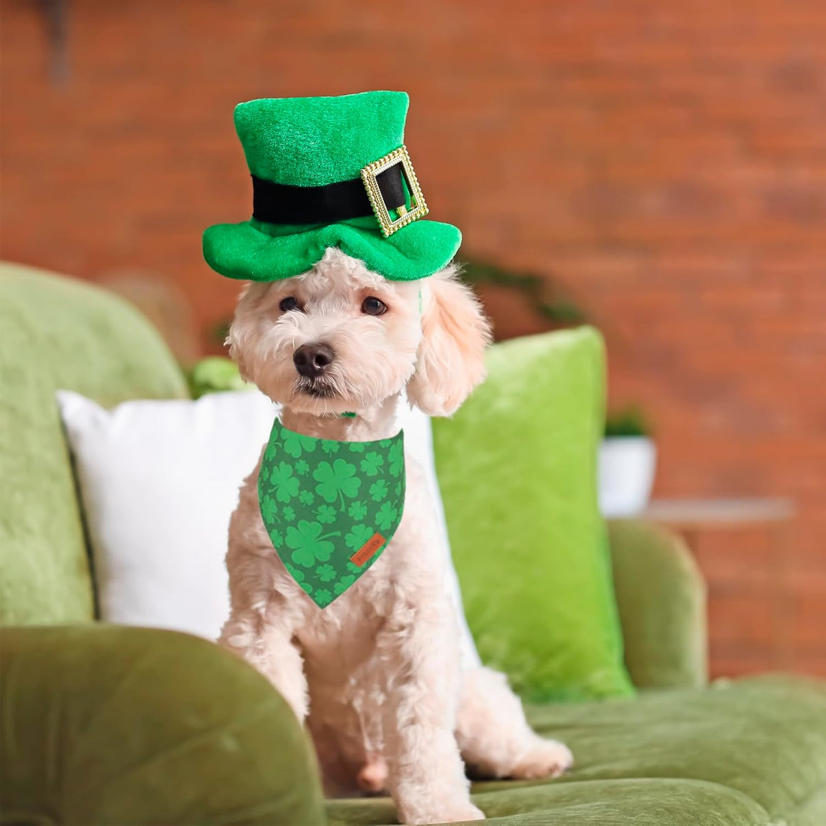 PTDECOR St. Patrick's Day Dog Bandana, Reversible Dog Scarf, Multi Size Offered, Green Shamrock Pet