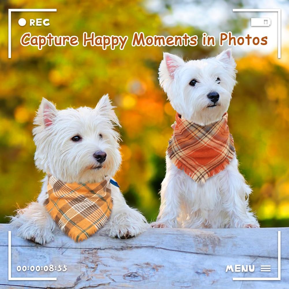 Vivifying Halloween Dog Bandana, 2 Pack Classic Plaid Fall Dog Scarf with Tassels Edges, Funny Pet