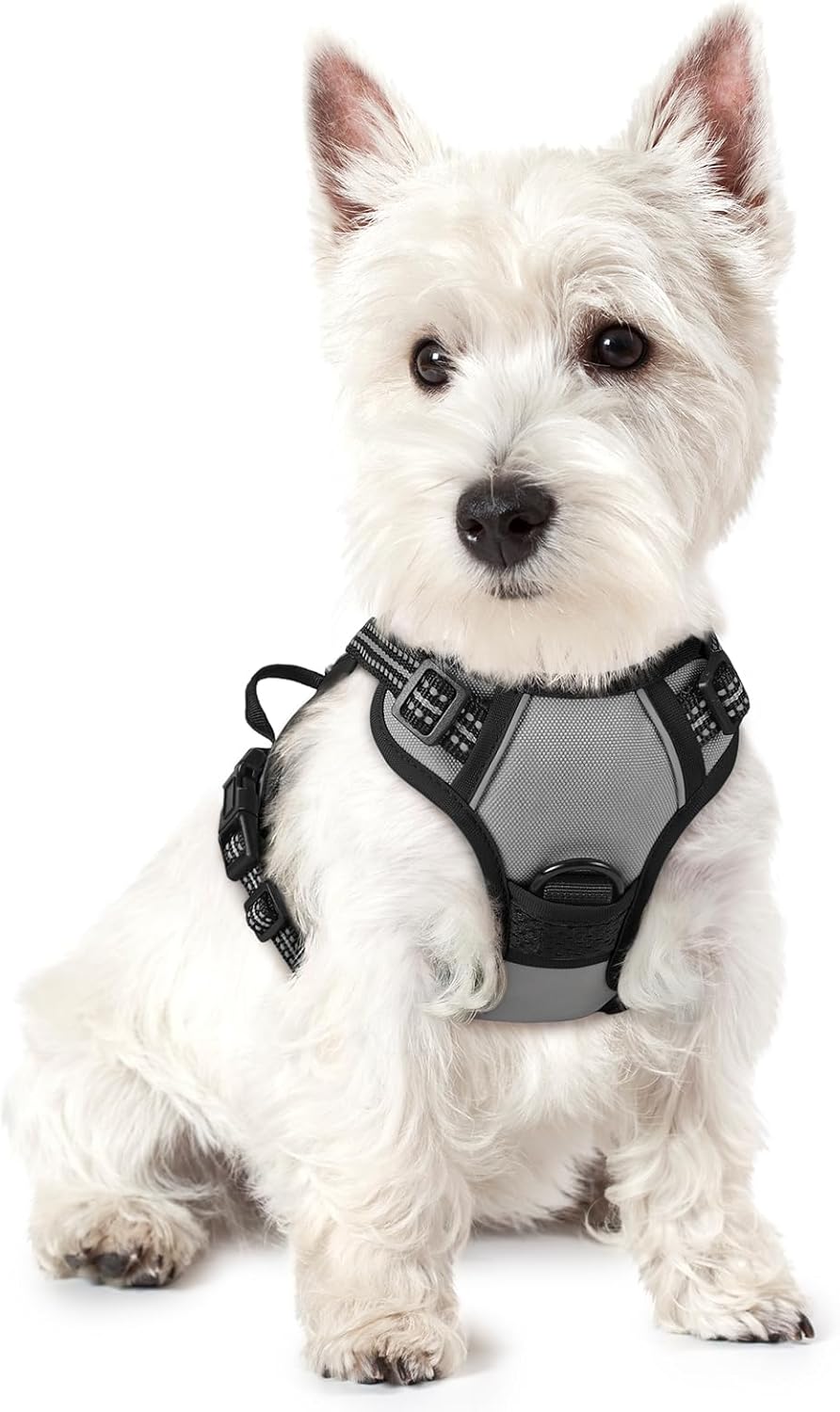 rabbitgoo Dog Harness No Pull with 2 Leash Clips, Adjustable Soft Padded, Reflective Oxford No