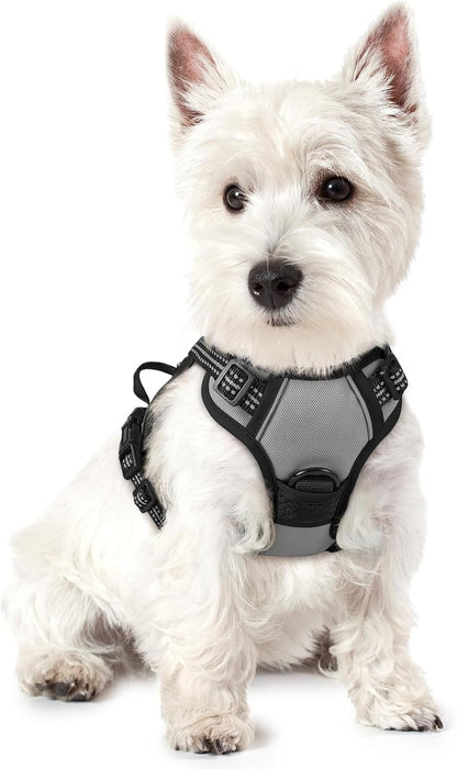 rabbitgoo Dog Harness No Pull with 2 Leash Clips, Adjustable Soft Padded, Reflective Oxford No