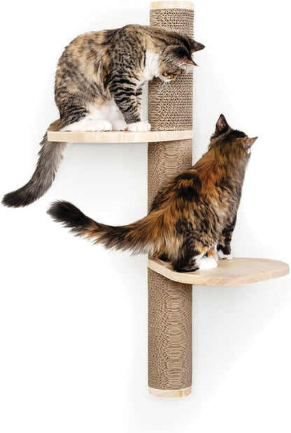 Cat Climbing Wall System – Modern Floating Shelves & Perches for Cats - Sunrise Steps | Ascentials