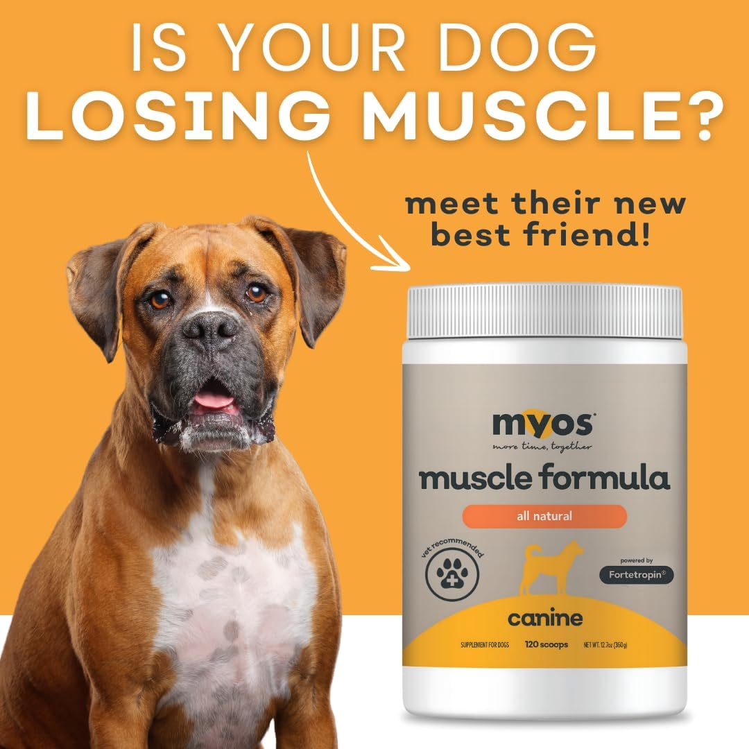MYOS Canine Muscle Formula - All-Natural Muscle Building Supplement - Helps Reduce Muscle Loss in