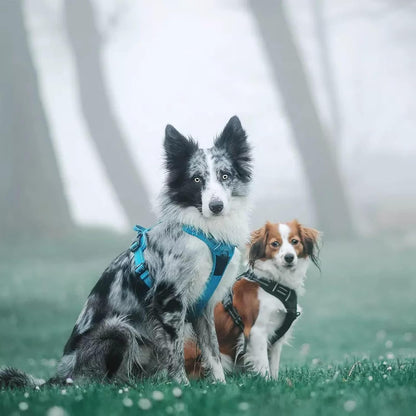TRUE LOVE Truelove Adjustable No-Pull Dog Harness Reflective Pup Vest Harnesses Comfortable Control
