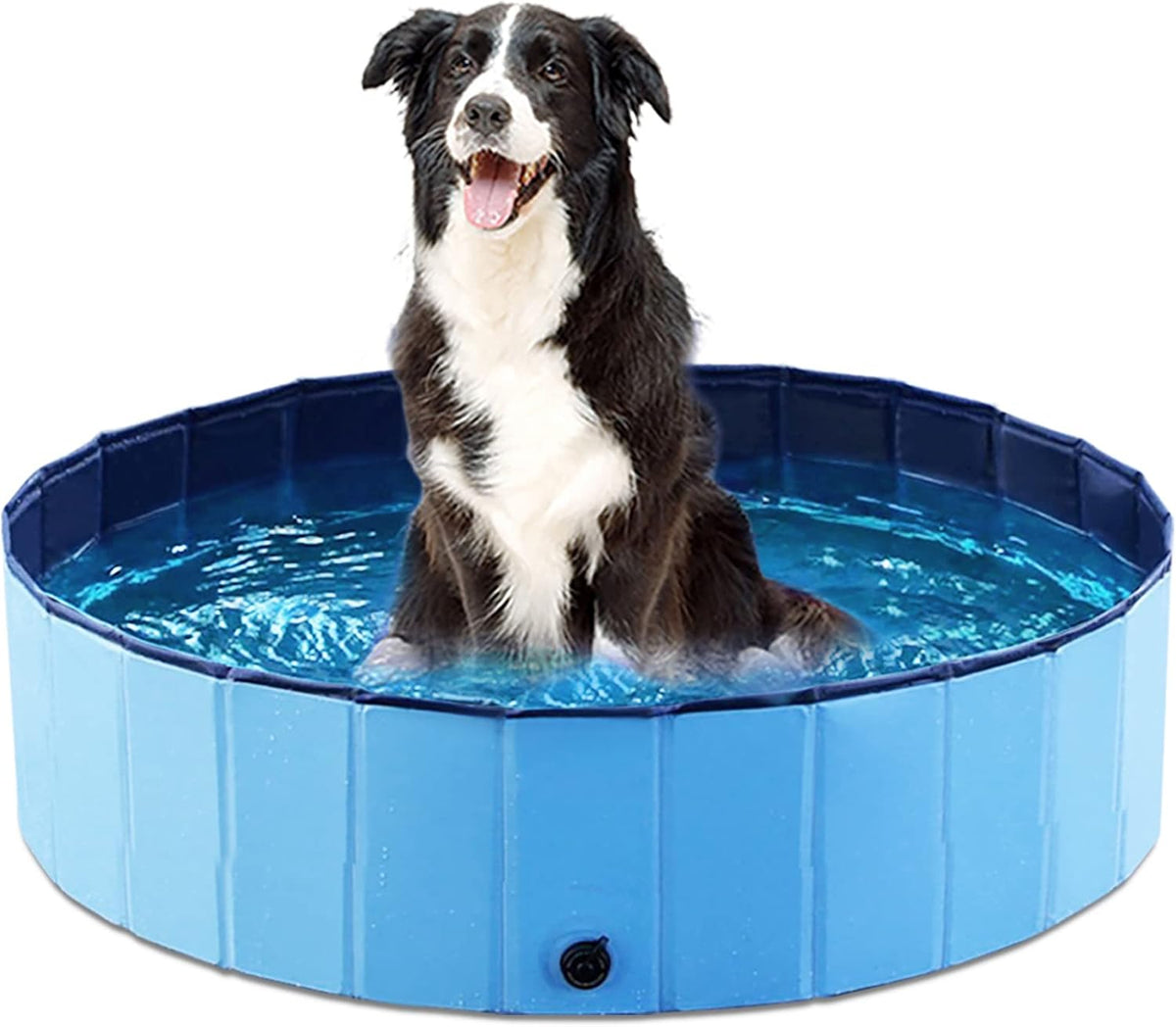 Jasonwell Foldable Dog Pool Collapsible Hard Plastic Dog Swimming Pool Portable Kiddie Pool Pet