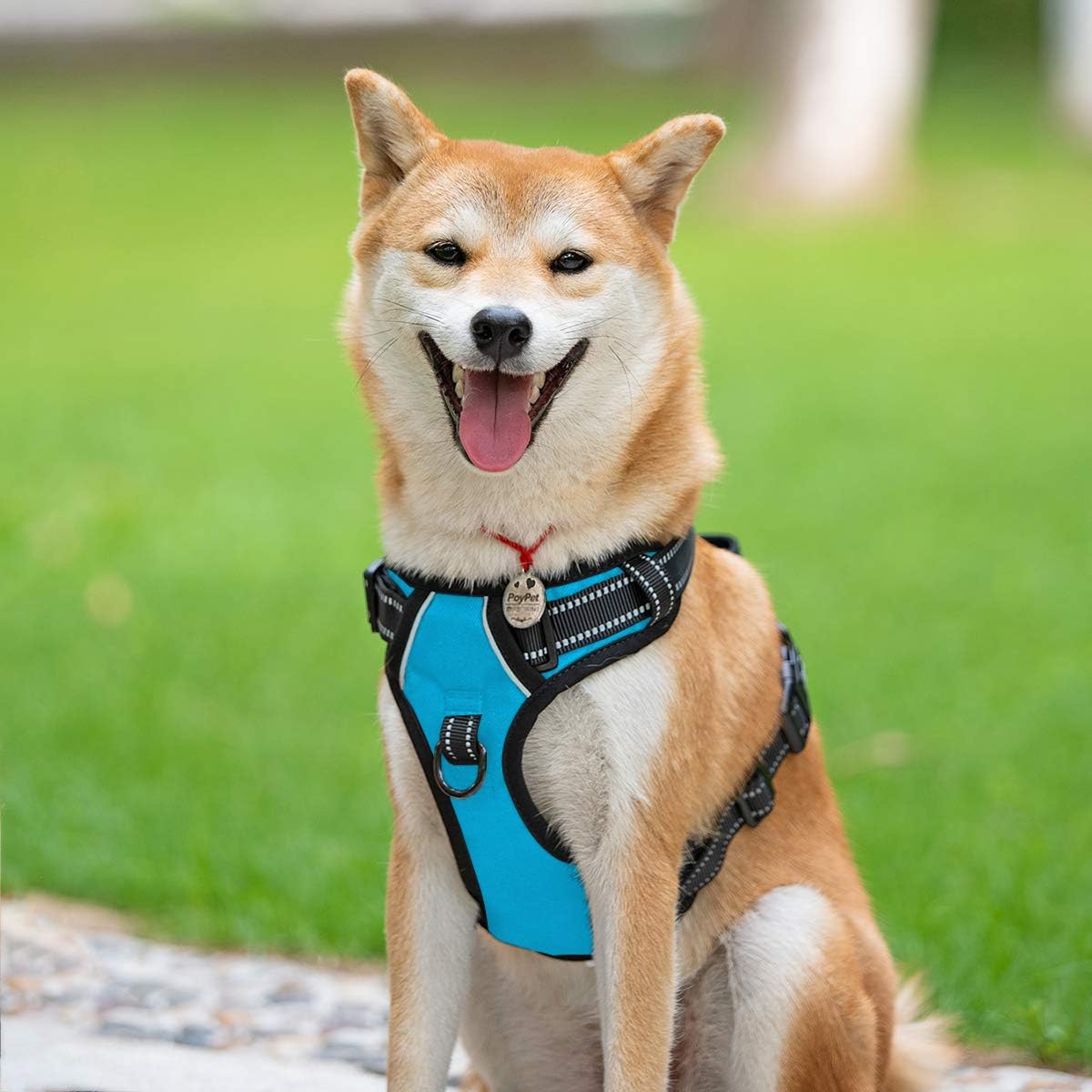 PoyPet No Pull Dog Harness, Reflective Comfortable Vest Harness with Front & Back 2 Leash