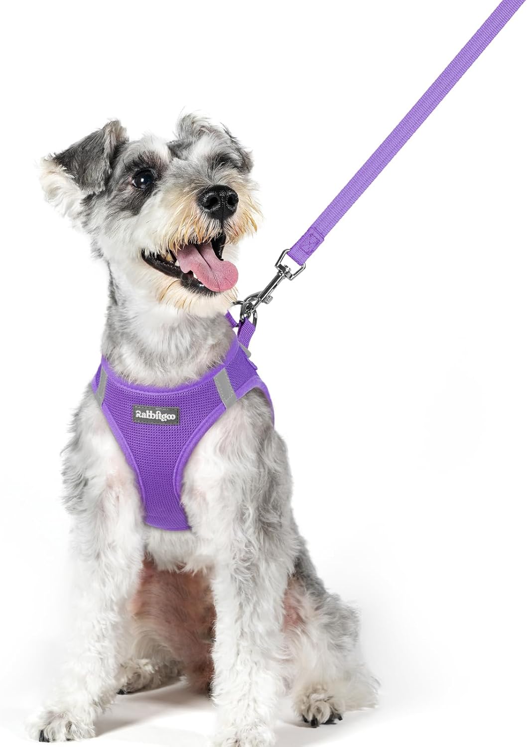 rabbitgoo Dog Harness Small Sized and Leash Set, Step in Soft Light Puppy Vest, Breathable Mesh Pet