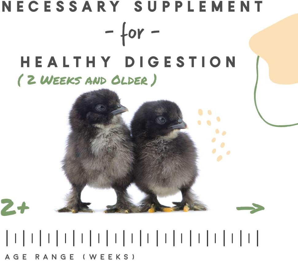 Manna Pro Chick Grit, Digestive Supplement for Young Poultry and Bantam Breed, Probiotics to