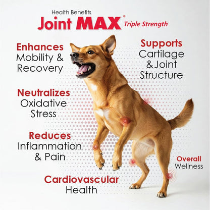 Liquid for Dogs - Vitamins, Minerals, Antioxidants - Glucosamine, Chondroitin - Beef Flavor