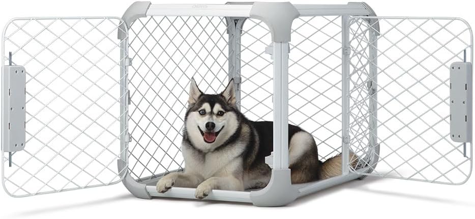 DIGGS Evolv Dog Crate - Slim, Durable Dog Kennel with Removable Ceiling Panel and Modular Design