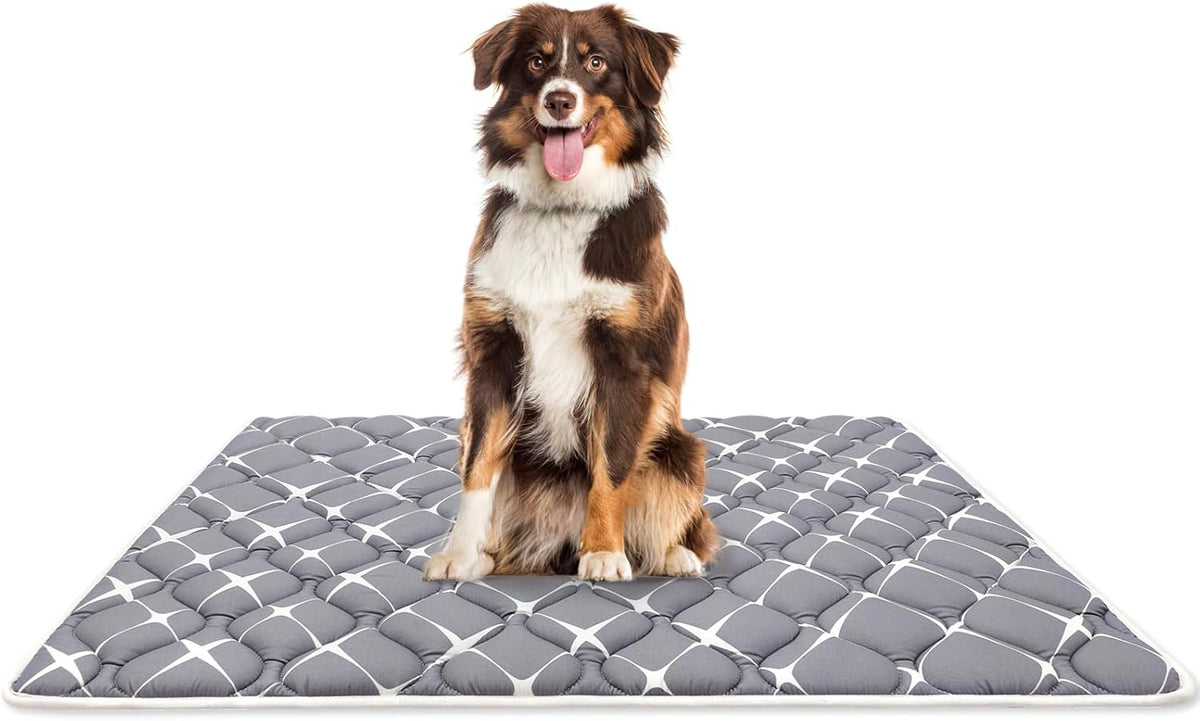 Bubble bear Dog Crate Mat - Ultra Soft, Washable & Anti-Slip Kennel Pad for Small/Medium/Large