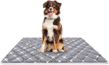 Bubble bear Dog Crate Mat - Ultra Soft, Washable & Anti-Slip Kennel Pad for Small/Medium/Large