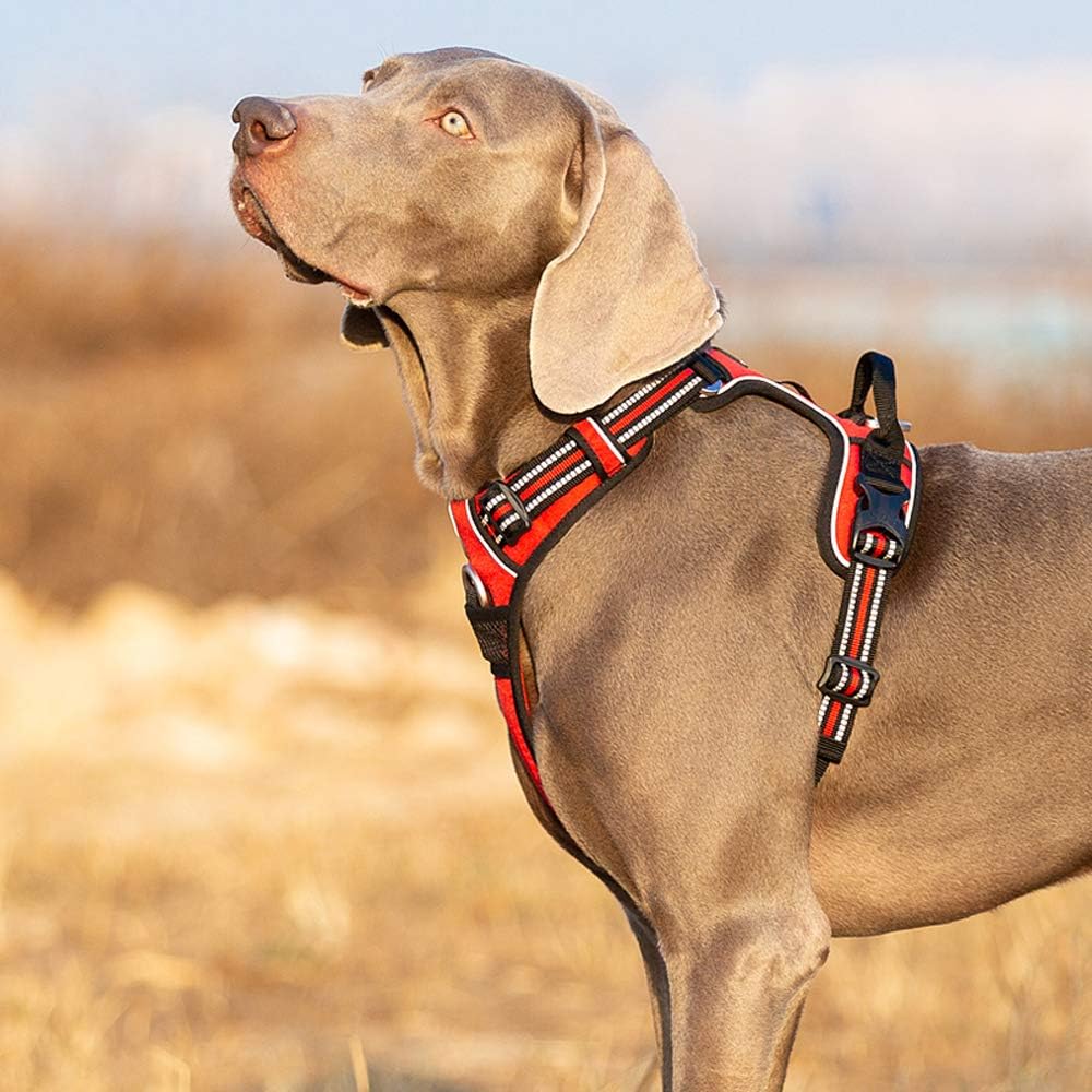 TRUE LOVE Dog Harness No Pull Nylon Reflective Pet Harness Adjustable Comfortable Control Step-in
