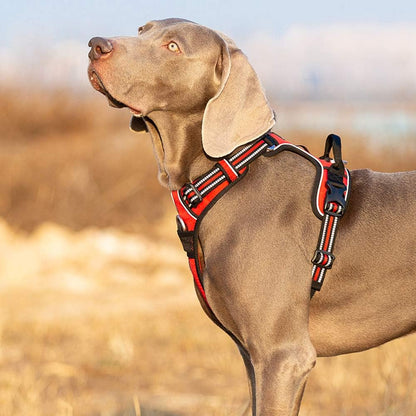 TRUE LOVE Dog Harness No Pull Nylon Reflective Pet Harness Adjustable Comfortable Control Step-in
