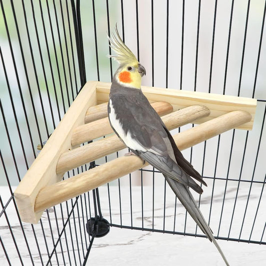 Litewoo Bird Perch Corner Platform Stand Shelf for Birds Budgie Parakeet Cockatiel Conure