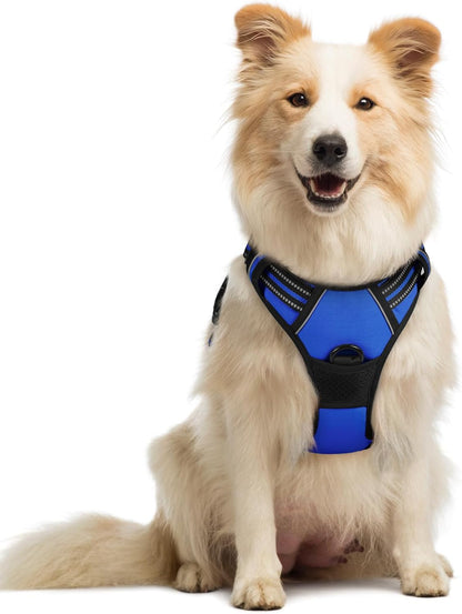 rabbitgoo Dog Harness No Pull with 2 Leash Clips, Adjustable Soft Padded, Reflective Oxford No