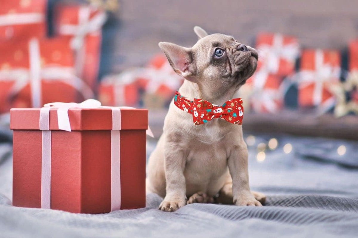 Lionet Paws Christmas Dog Collar with Bowtie, Dog Bowtie Collar with Metal Buckle for Dogs and