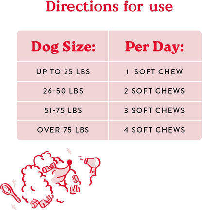 Bocce's Bakery Skin & Coat Supplement for Dogs, Daily Chews Made in The USA with Vitamin E &