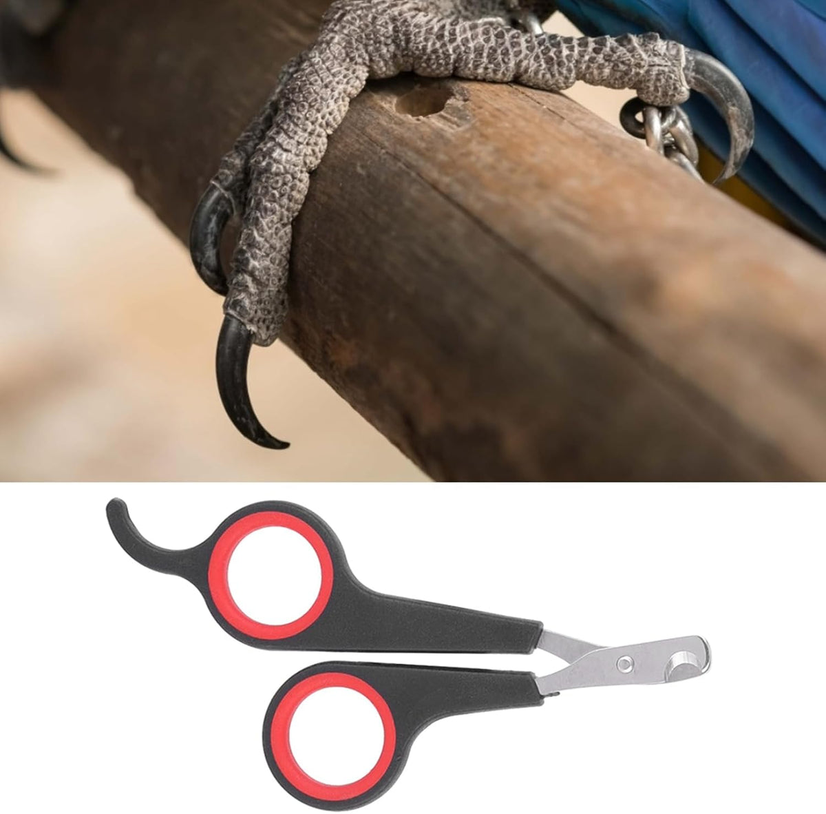 Cat Nail Trimmer, Pet Nail Clippers, Stainless Steel Bird Nail Clippers, Comfortable Cat Nail