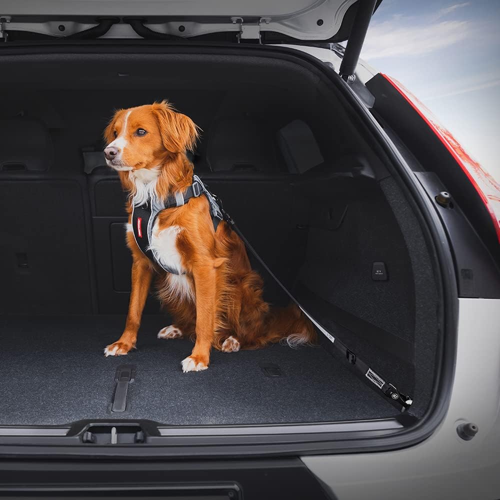 EzyDog Click ISOFIX Standard - Dog Seat Belt Car Harness Attachment for Dogs - Adjustable Dog