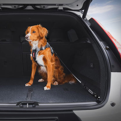EzyDog Click ISOFIX Cargo - Dog Seat Belt Car Harness Attachment for Dogs - Adjustable Dog