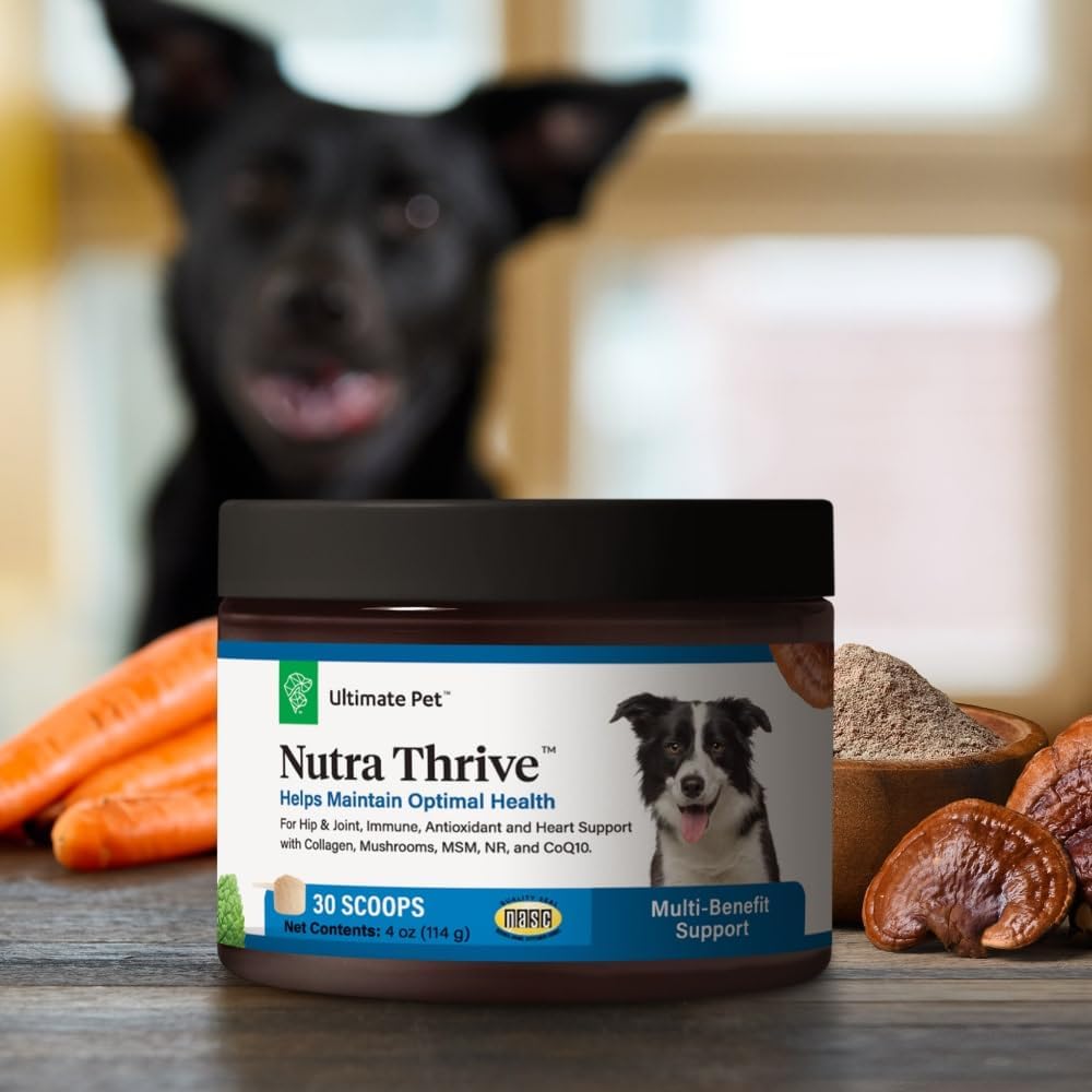 Ultimate Pet Nutrition Nutra Thrive Canine, 40-in-1 Nutritional Powder Supplement for Dogs with