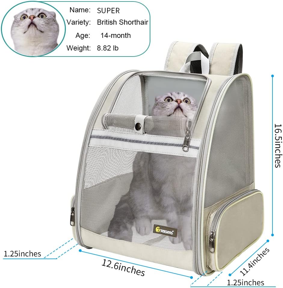 Texsens Pet Backpack Carrier for Small Cats Dogs | Ventilated Design, Safety Straps, Buckle