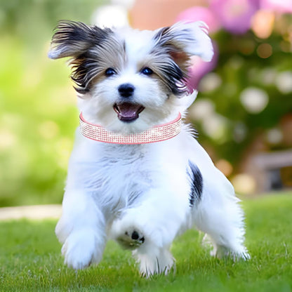 Rhinestone Dog Collar for Small Dogs, Bling Diamond Fancy Crystal Glitter Pretty Jewel Pet Puppy