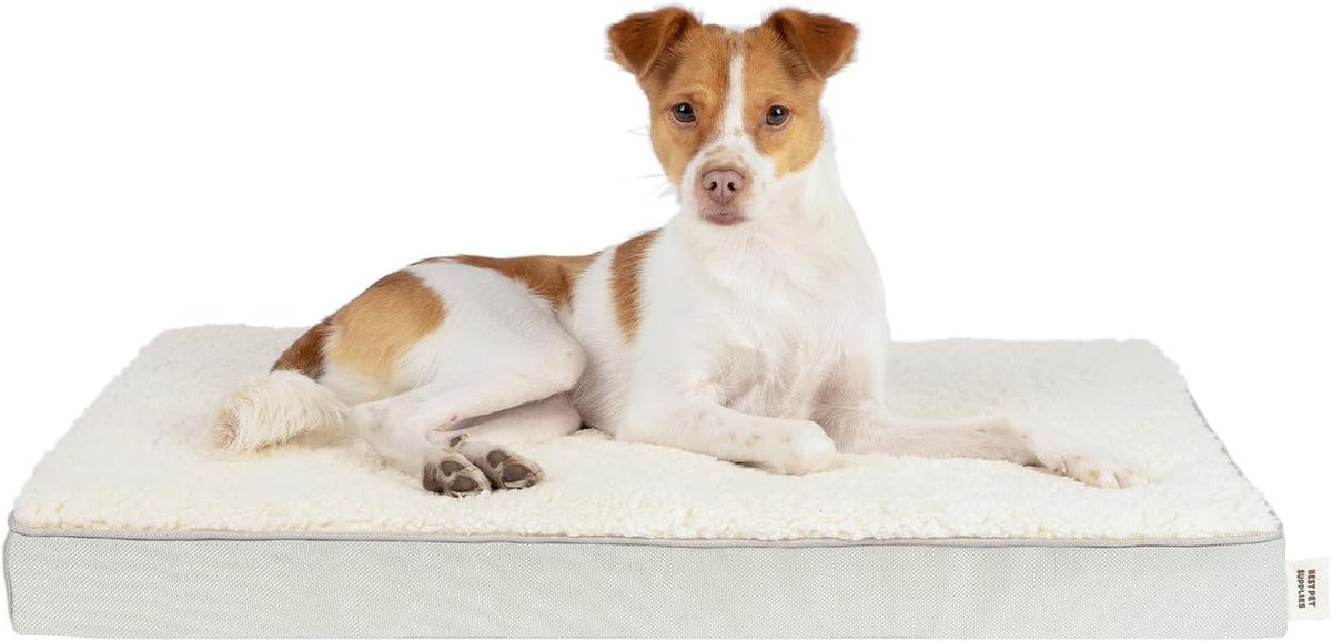 Best Pet Supplies Cute Dog Crate Mat Flat Bed with Waterproof Exterior, Thick Orthopedic Egg Foam